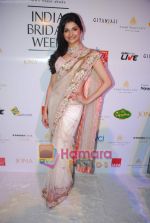 Prachi desai at Aamby Valley India Bridal week DAY 3-1 on 31st Oct 2010 (11).JPG
